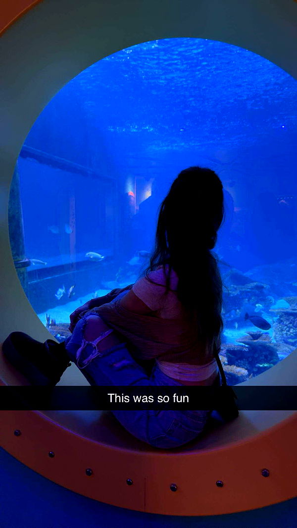 carmmieecat image ~ Altpins