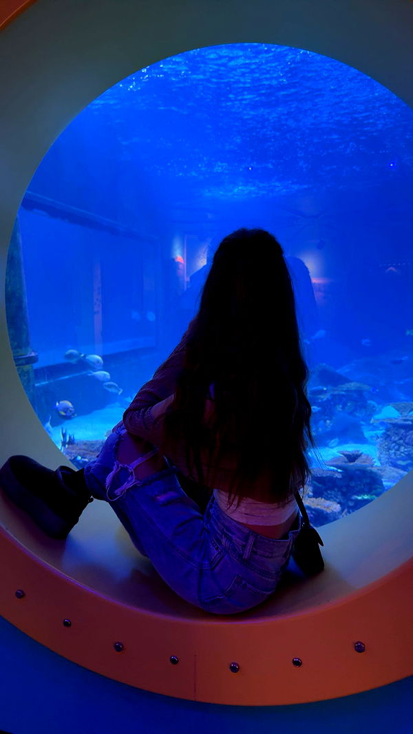 carmmieecat image ~ Altpins