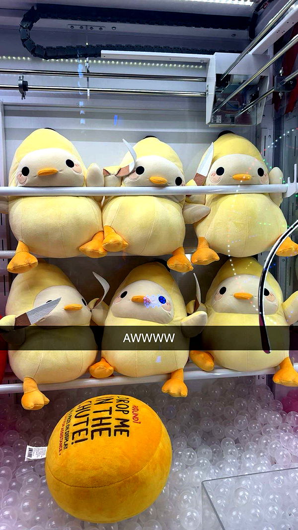 carmmieecat image ~ Altpins