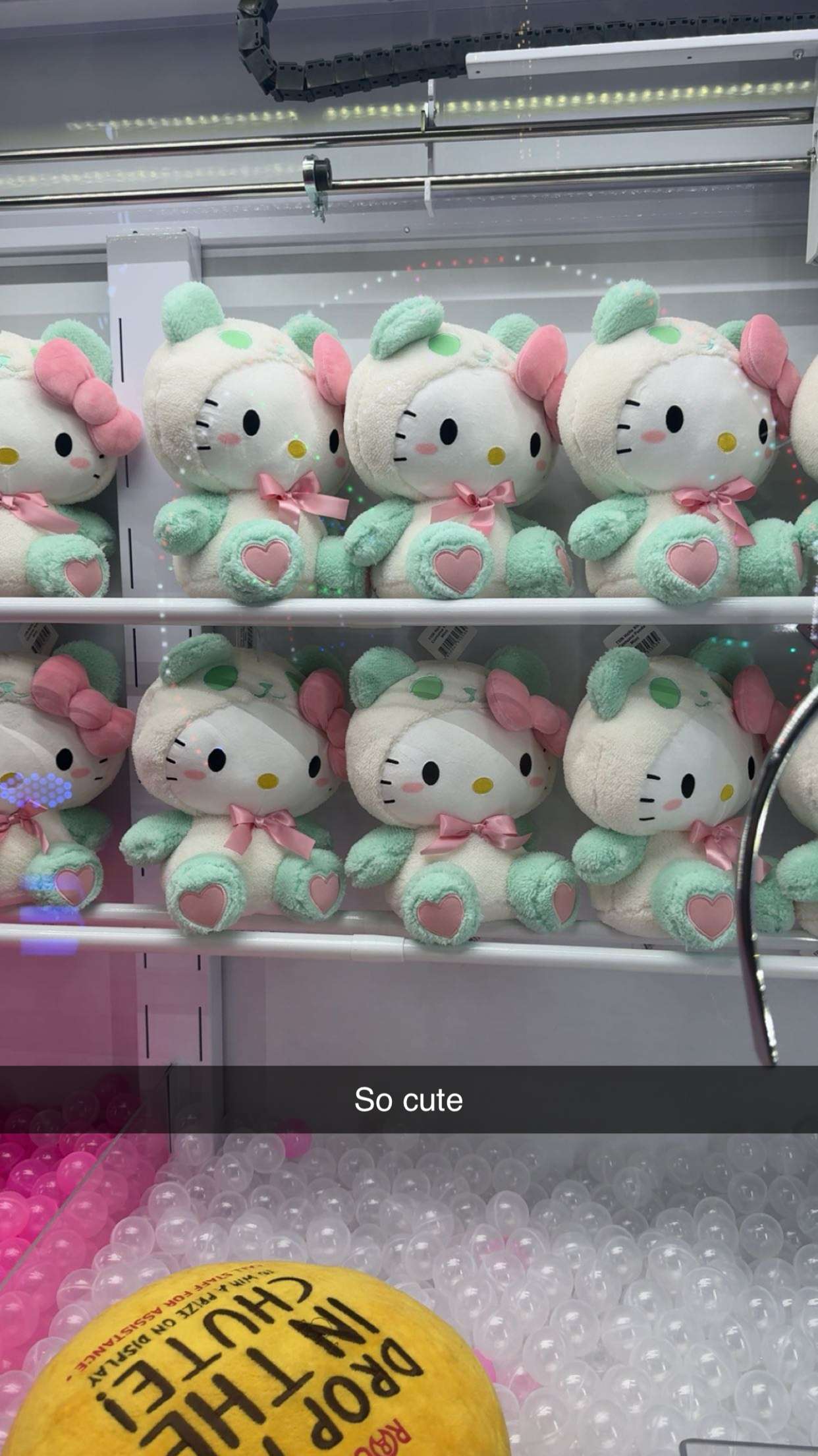 carmmieecat snapchat image archive image