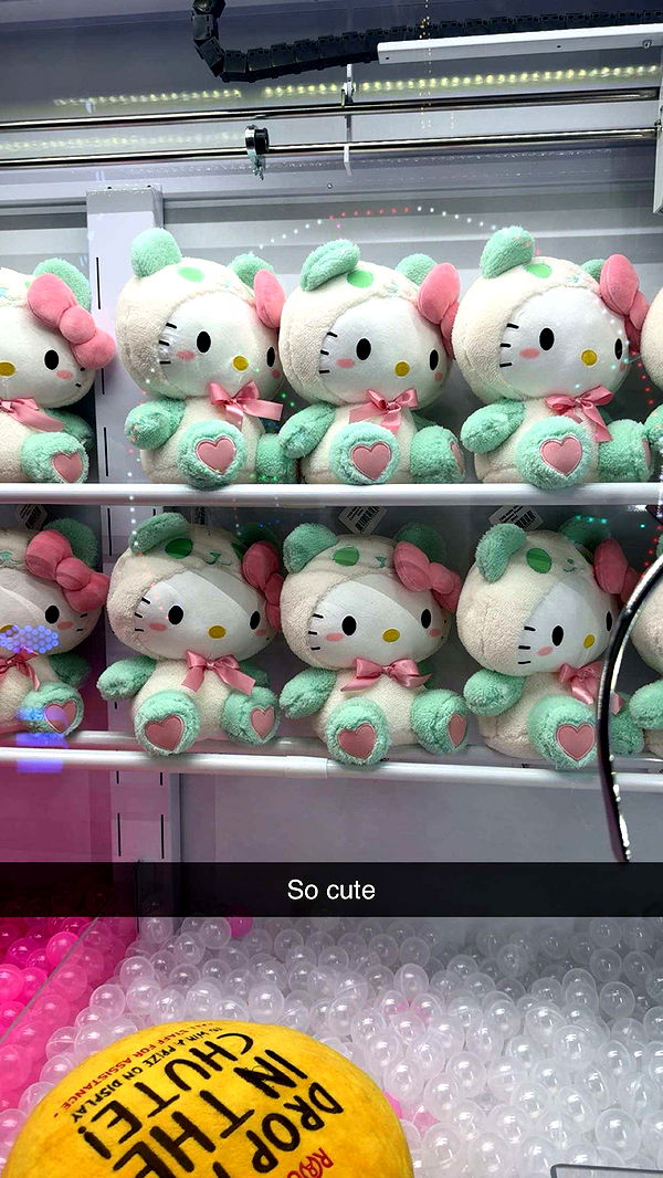 carmmieecat image ~ Altpins