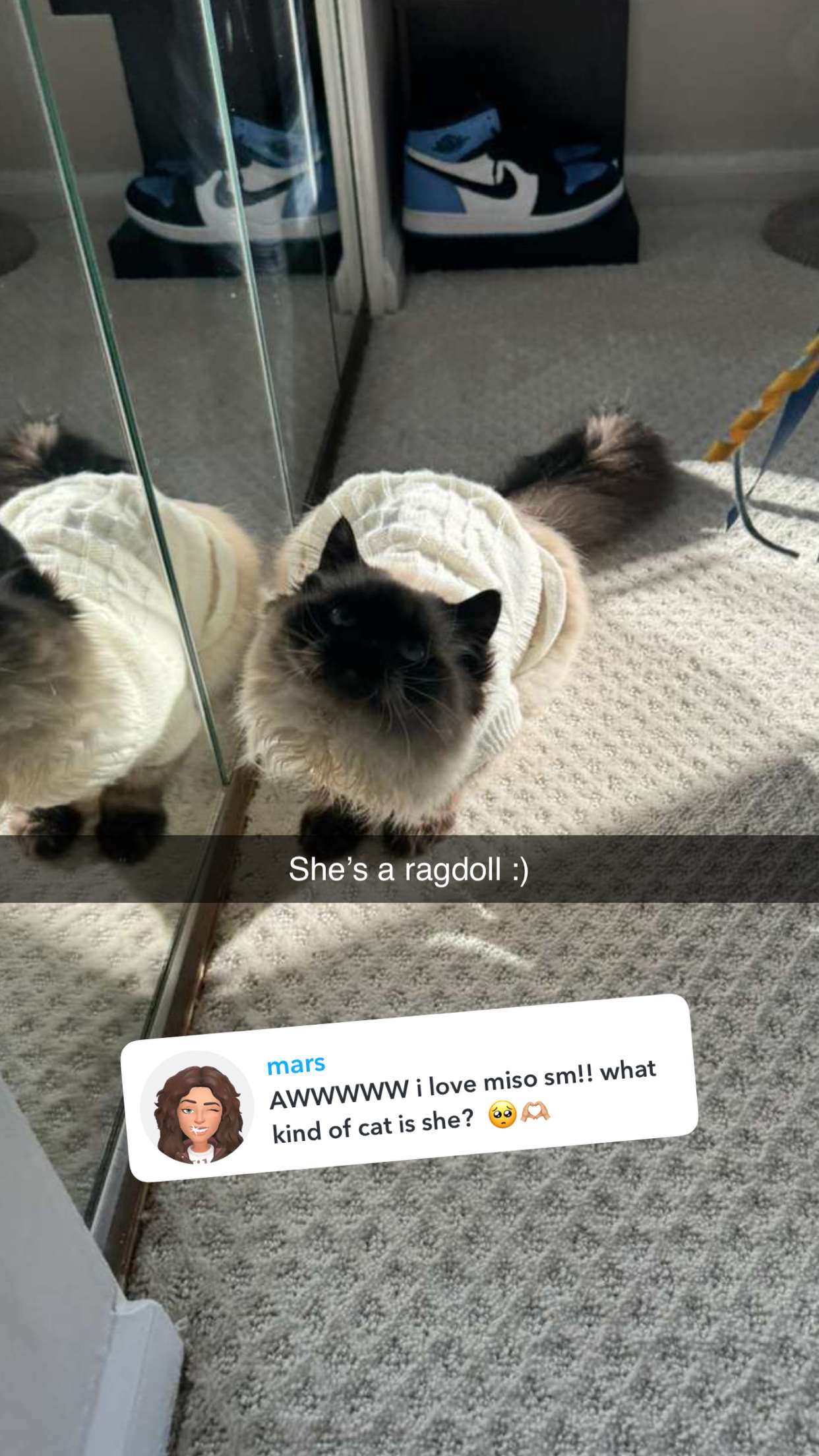 carmmieecat snapchat image archive image