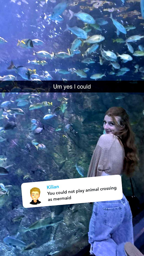 carmmieecat image ~ Altpins