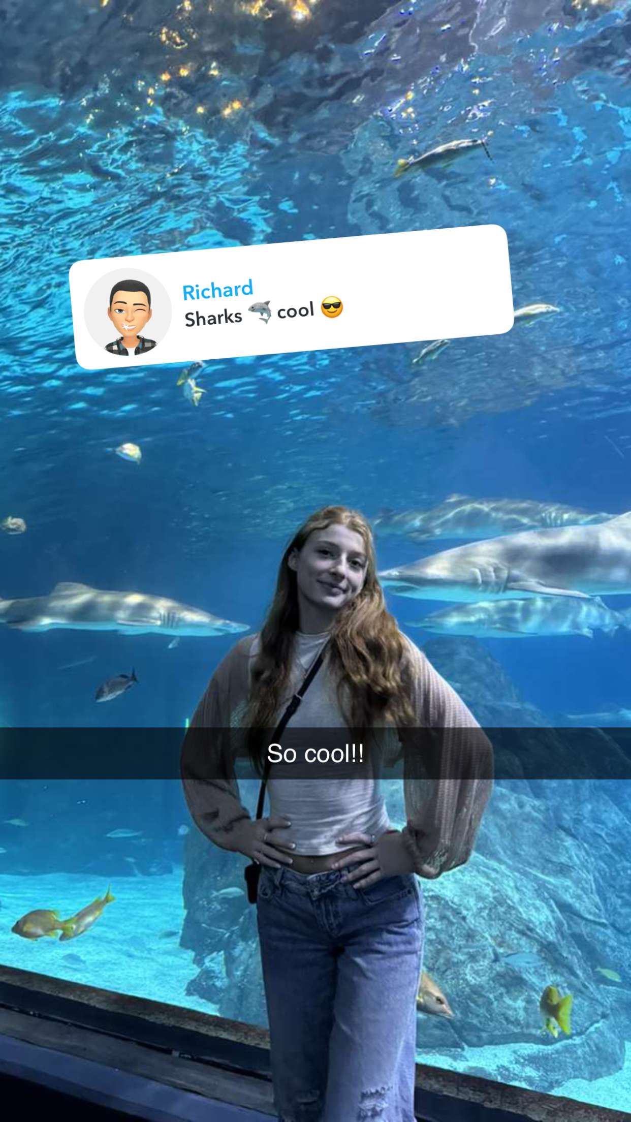 carmmieecat snapchat image archive image