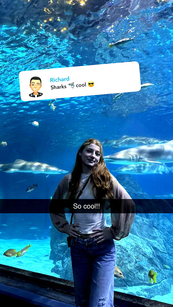 carmmieecat image ~ Altpins