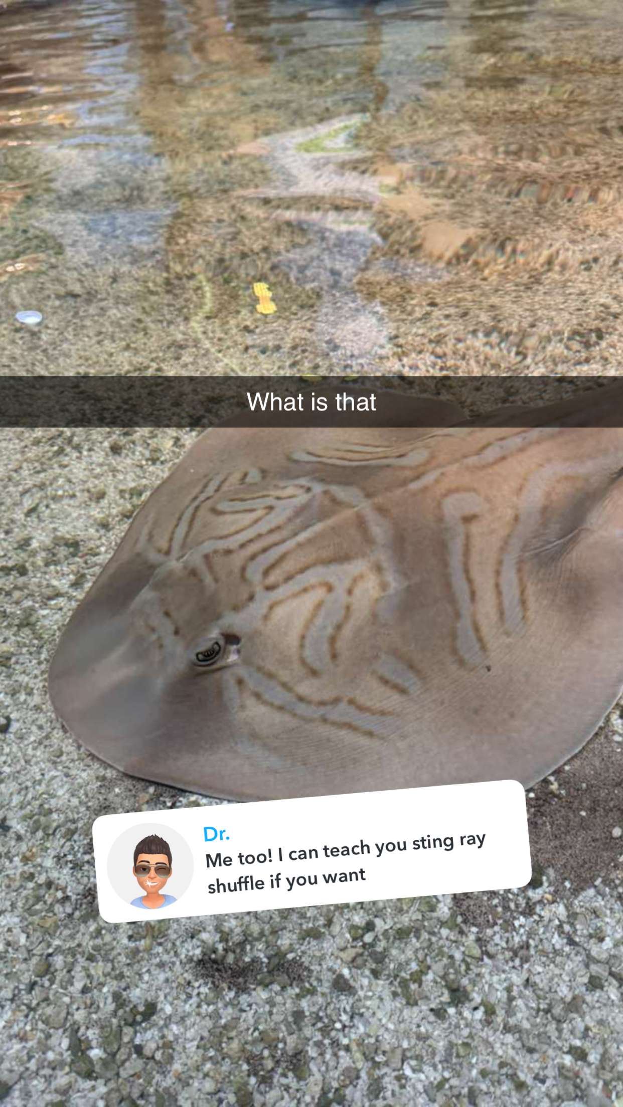 carmmieecat snapchat image archive image