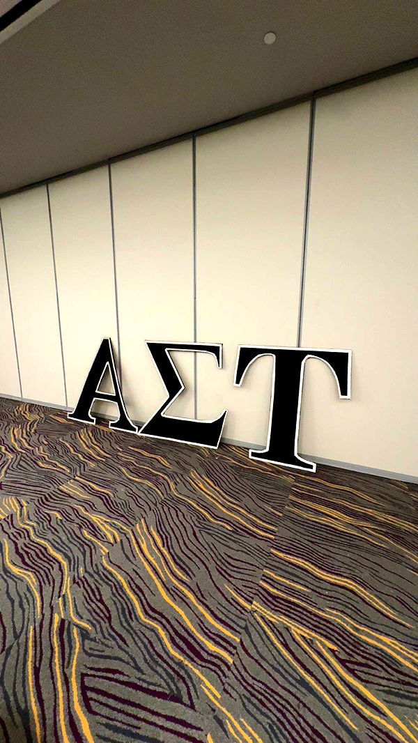 carmmieecat image ~ Altpins