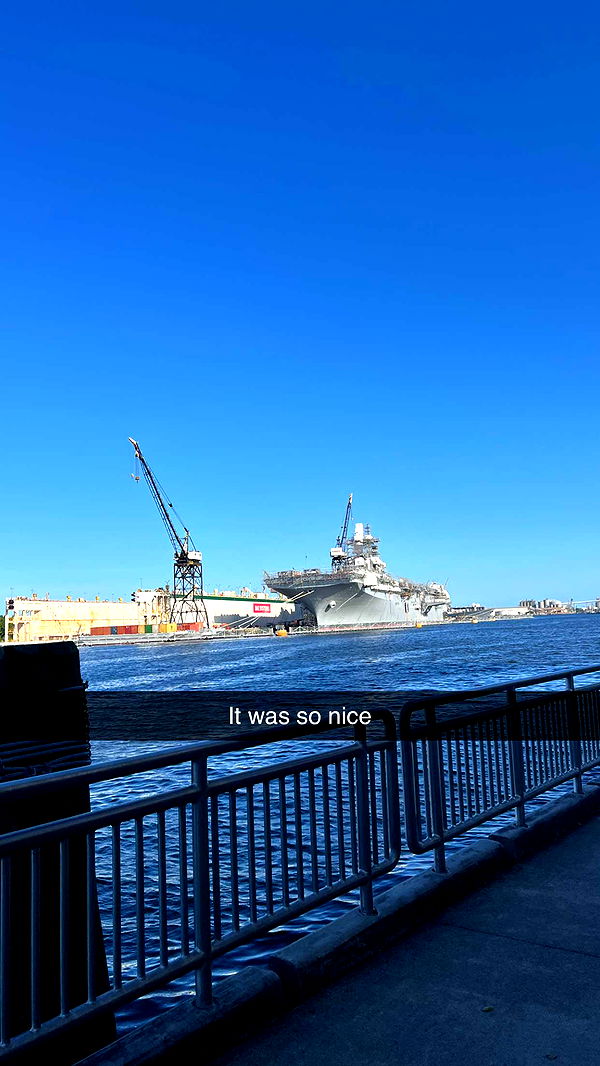 carmmieecat image ~ Altpins