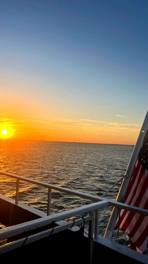 carmmieecat image ~ Altpins