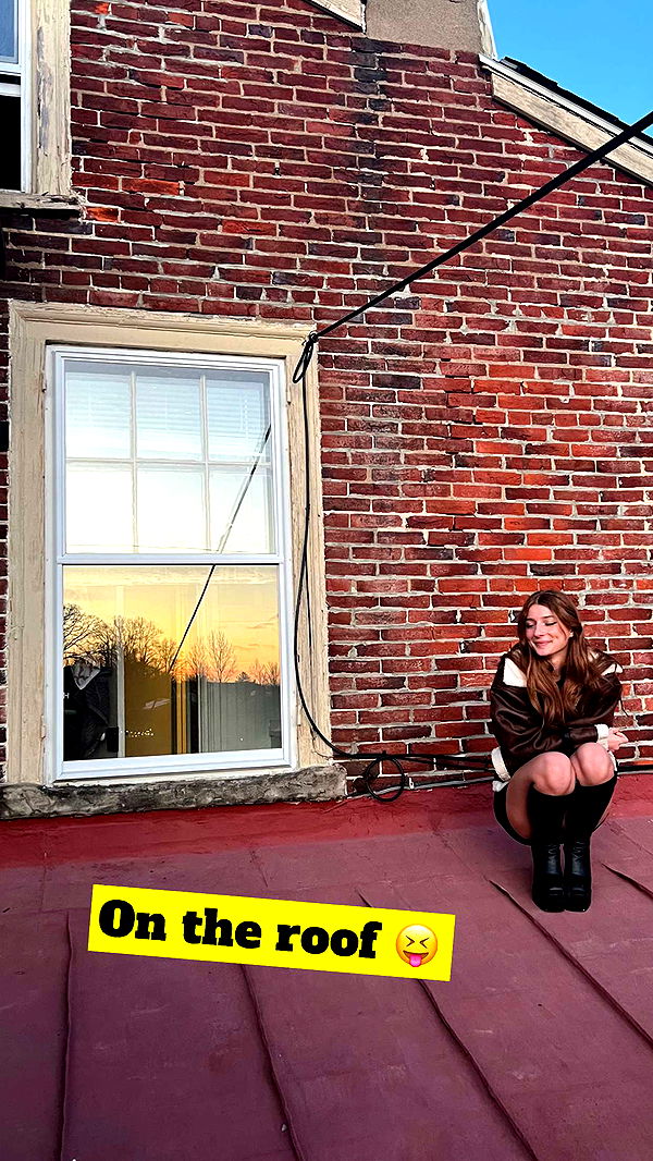 carmmieecat image ~ Altpins