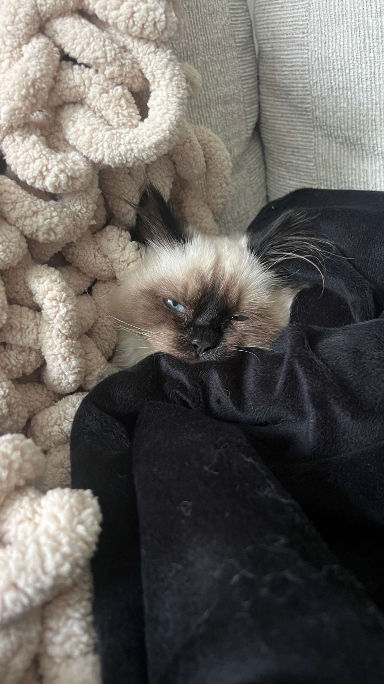 carmmieecat snapchat image archive image