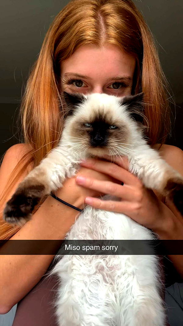 carmmieecat image ~ Altpins