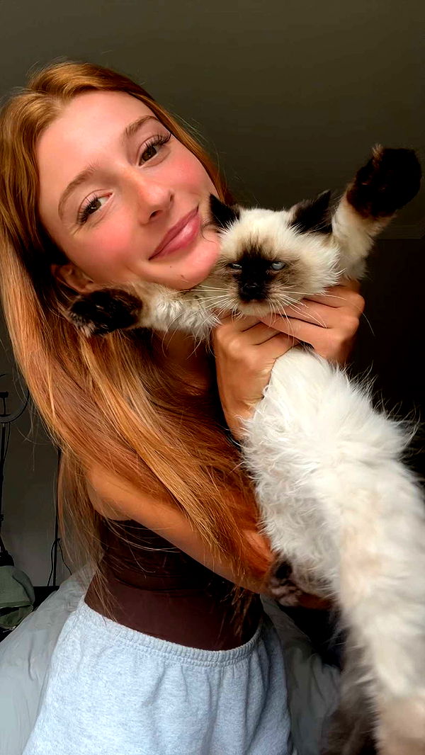 carmmieecat image ~ Altpins