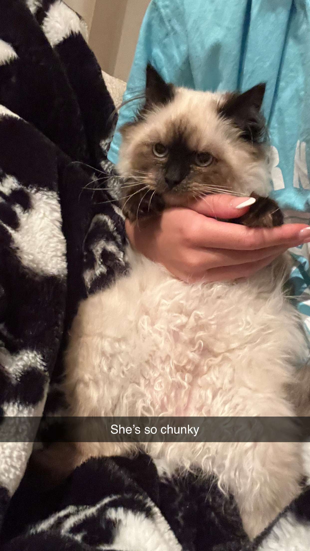 carmmieecat snapchat image archive image