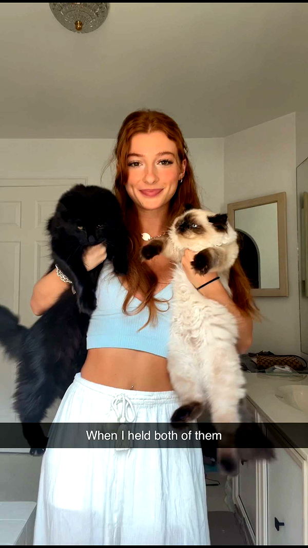 carmmieecat image ~ Altpins