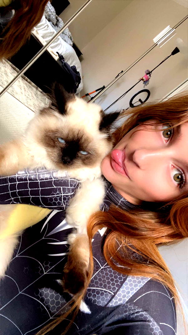 carmmieecat image ~ Altpins