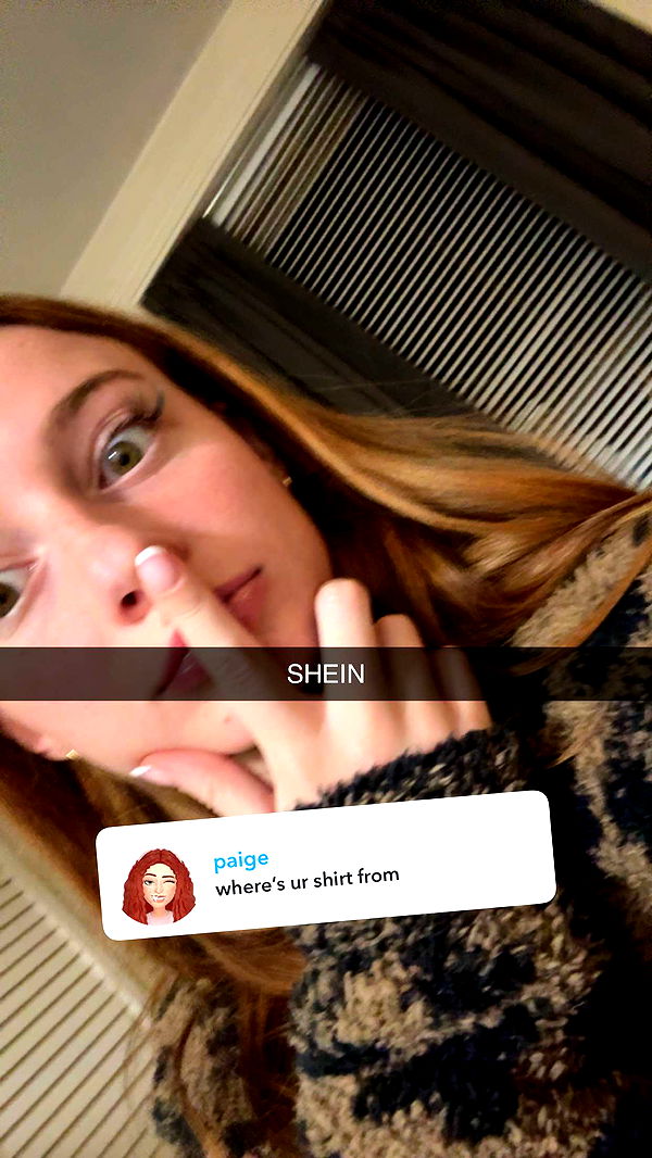 carmmieecat image ~ Altpins