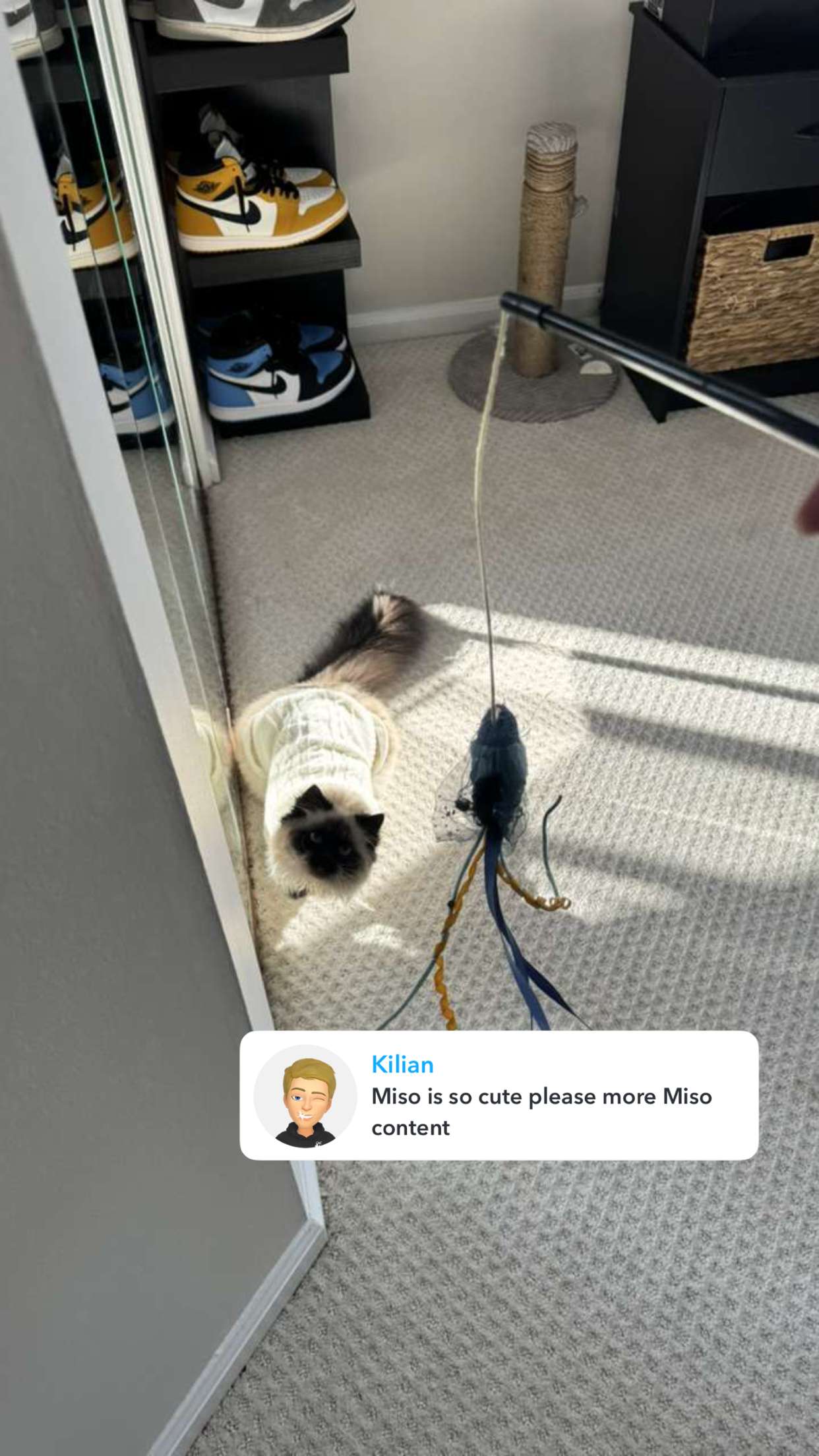 carmmieecat snapchat image archive image