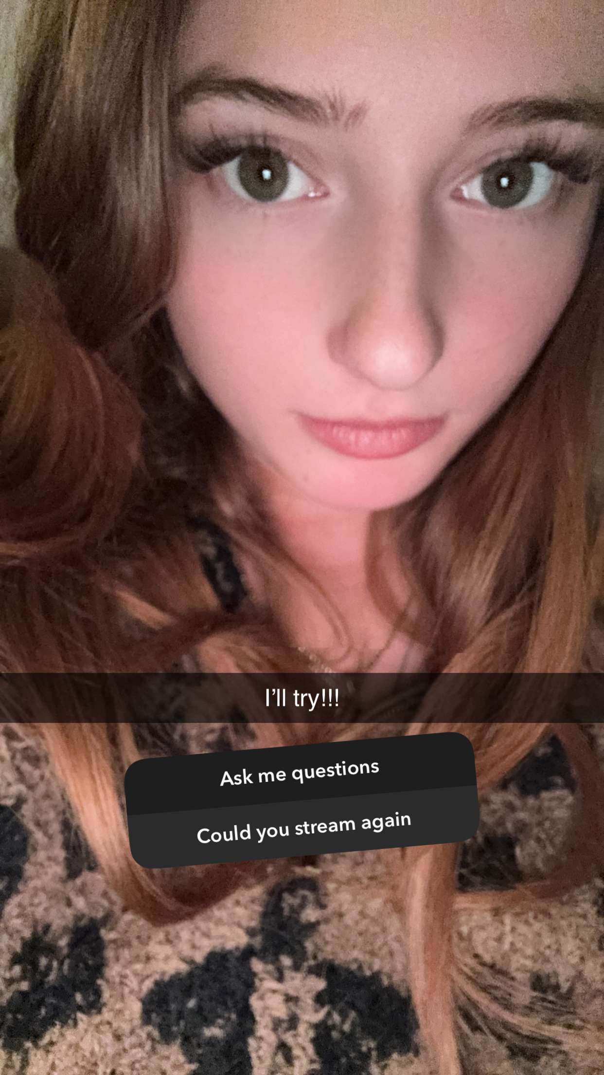 carmmieecat snapchat image archive image