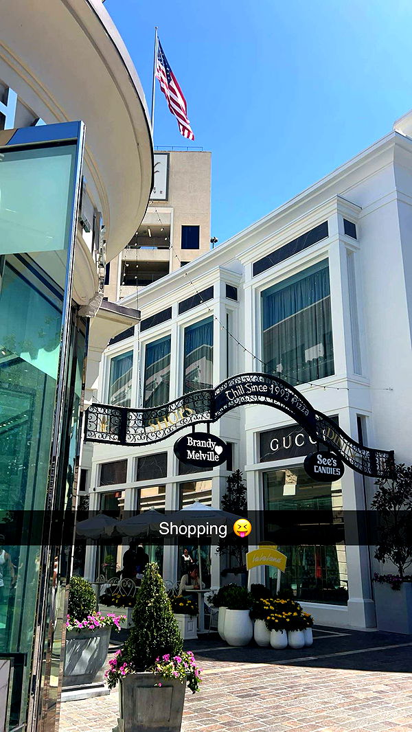 carmmieecat image ~ Altpins