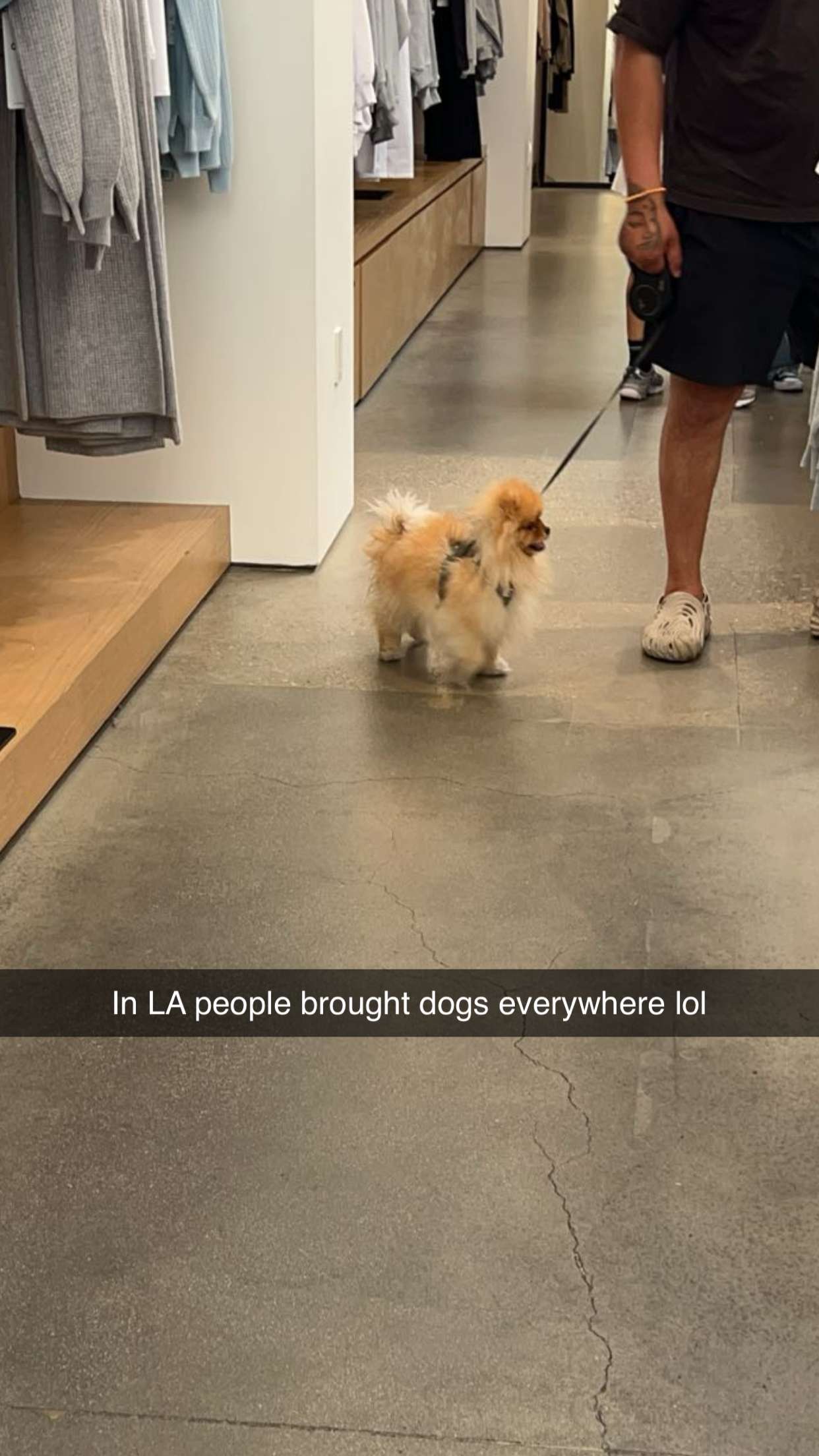 carmmieecat snapchat image archive image