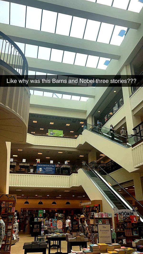 carmmieecat image ~ Altpins