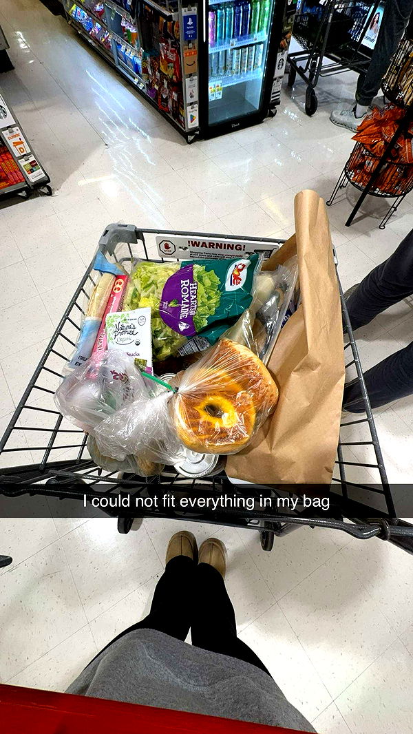 carmmieecat image ~ Altpins