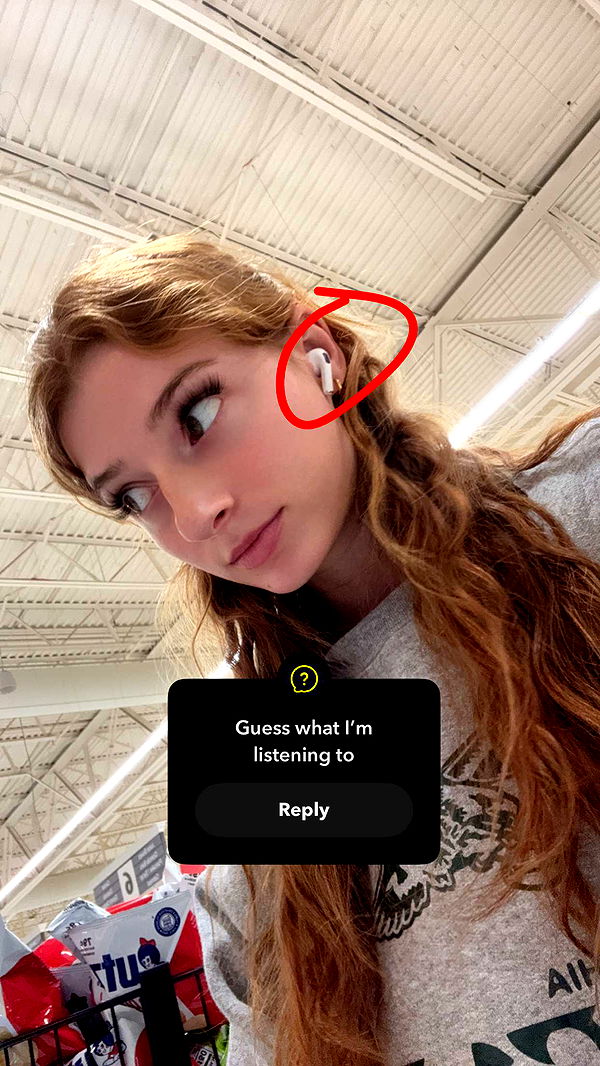 carmmieecat image ~ Altpins