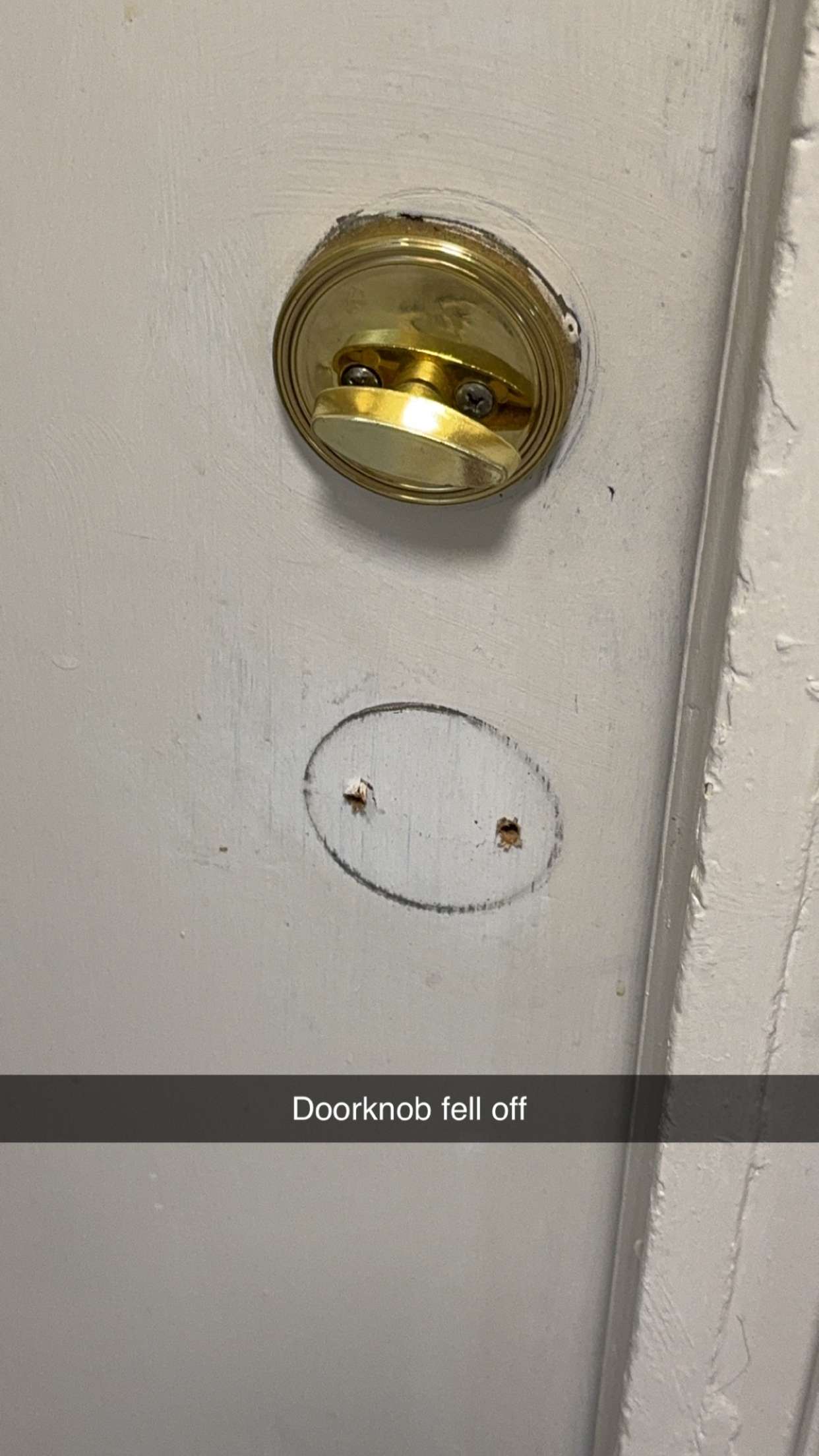 carmmieecat snapchat image archive image