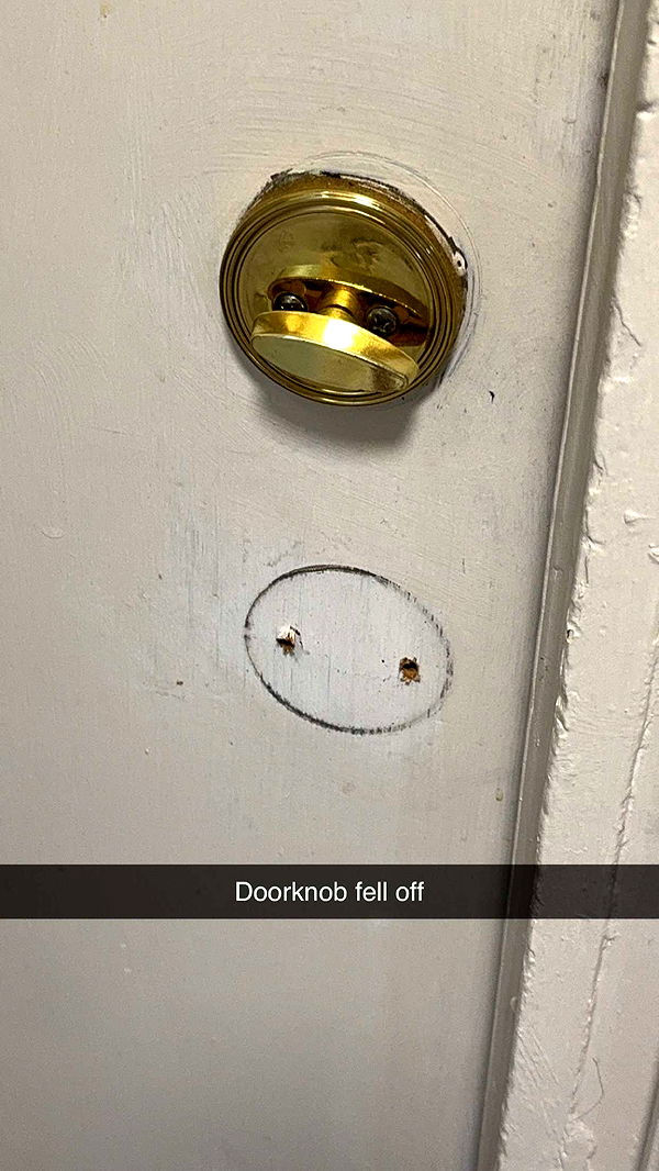 carmmieecat image ~ Altpins