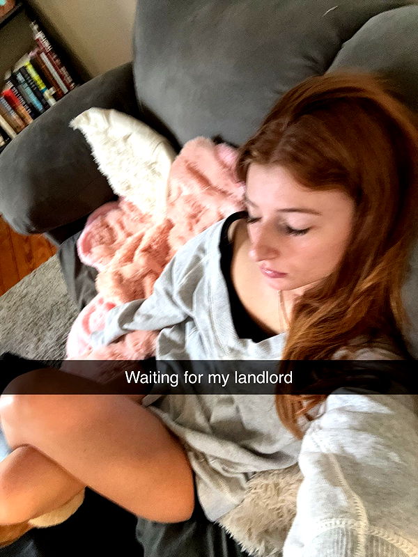 carmmieecat image ~ Altpins