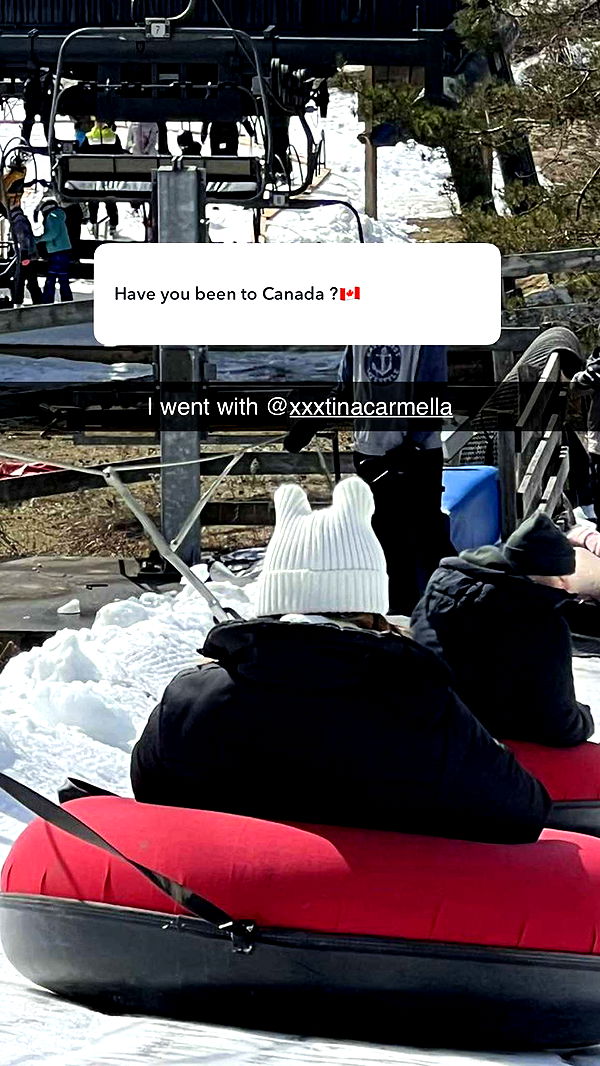 carmmieecat image ~ Altpins