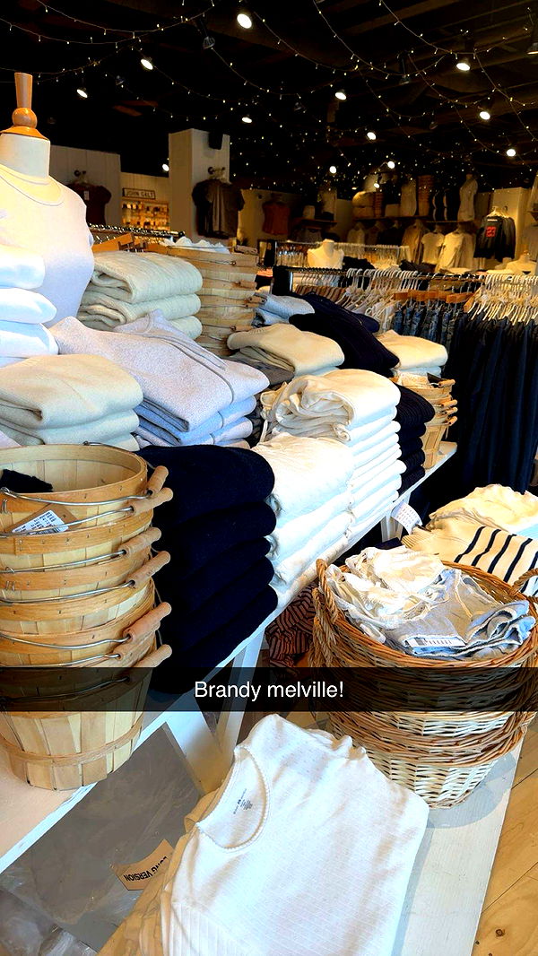 carmmieecat image ~ Altpins