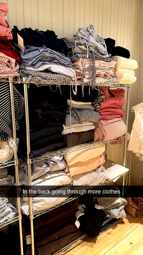 carmmieecat image ~ Altpins