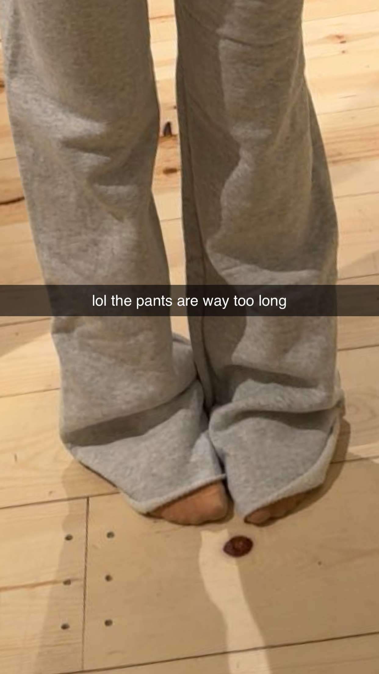 carmmieecat snapchat image archive image