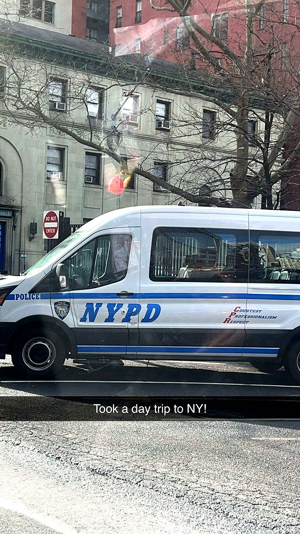 carmmieecat image ~ Altpins