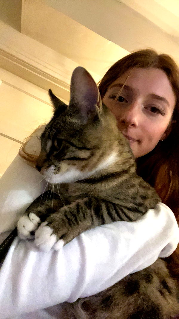 carmmieecat image ~ Altpins