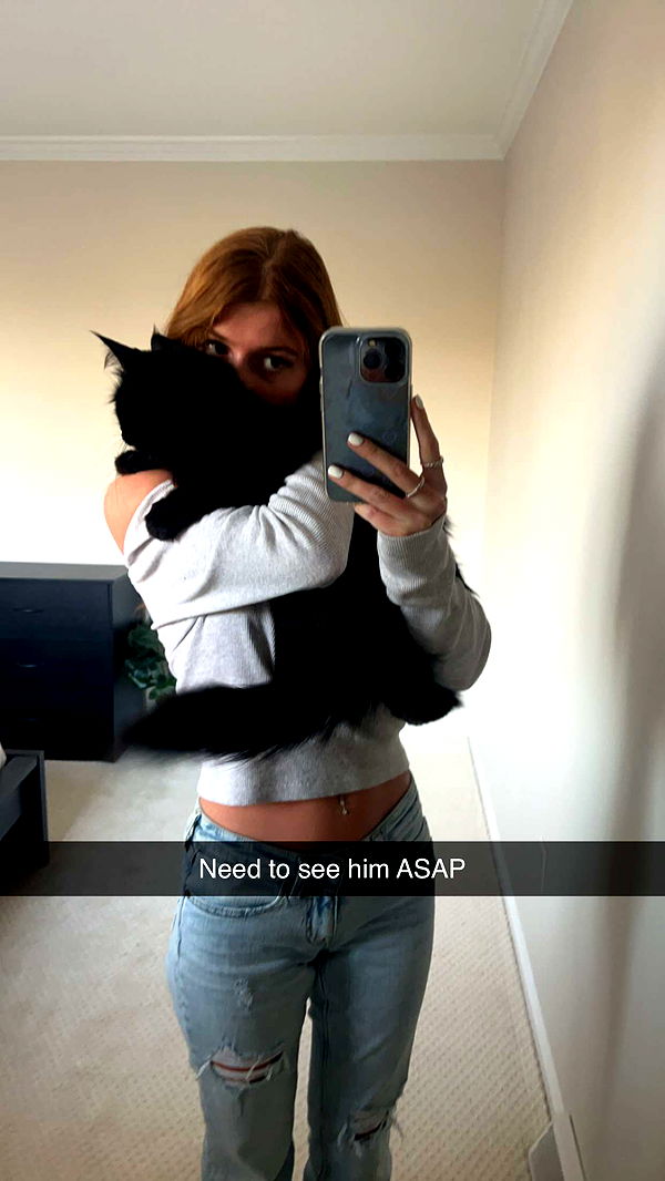 carmmieecat image ~ Altpins