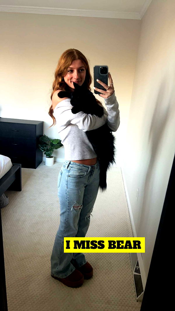 carmmieecat image ~ Altpins