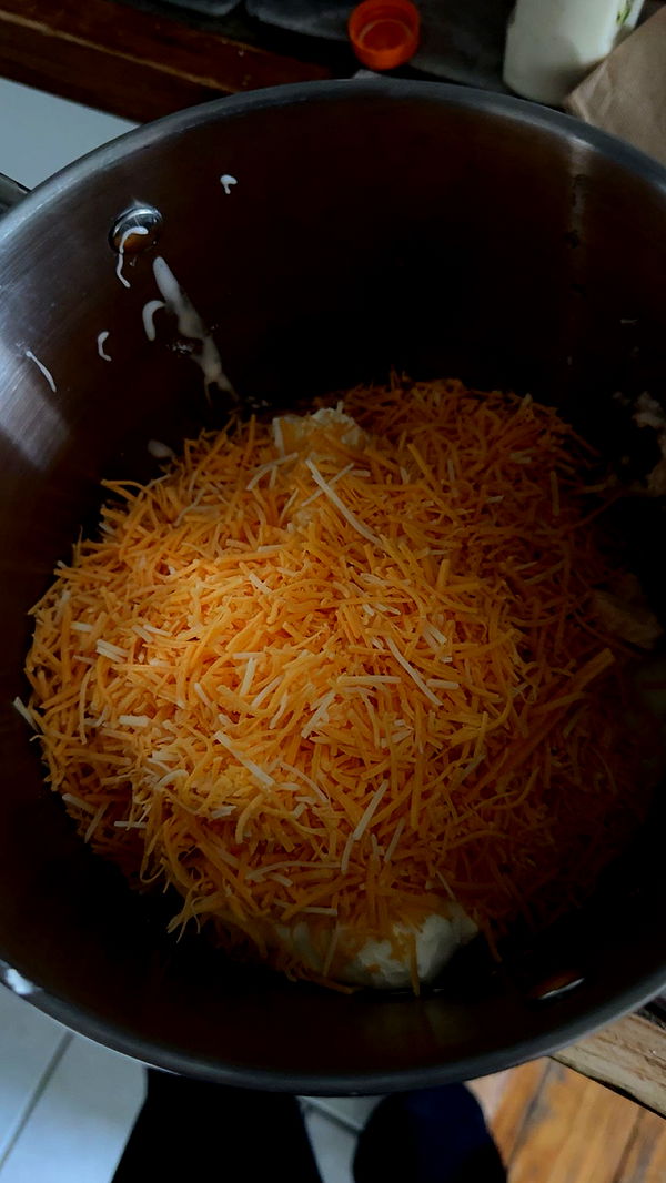 carmmieecat image ~ Altpins