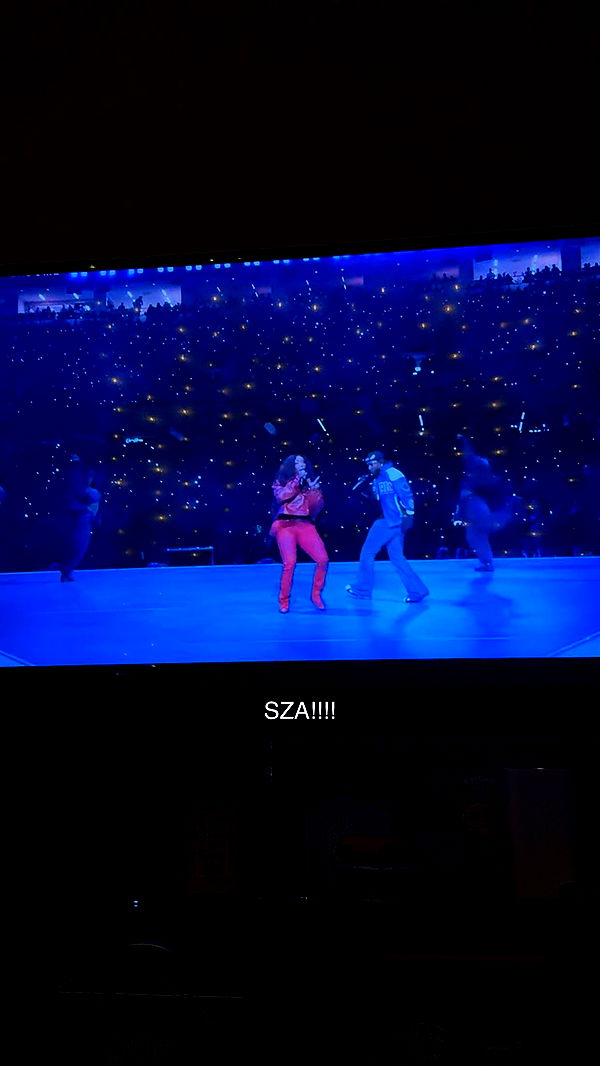 carmmieecat image ~ Altpins