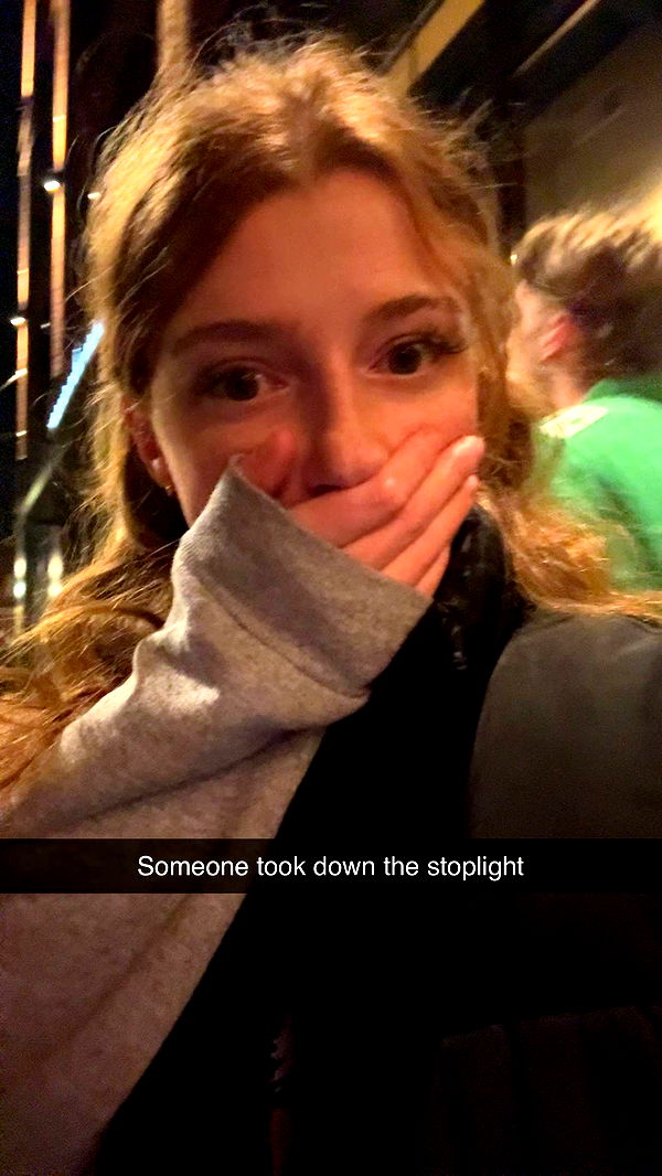 carmmieecat image ~ Altpins