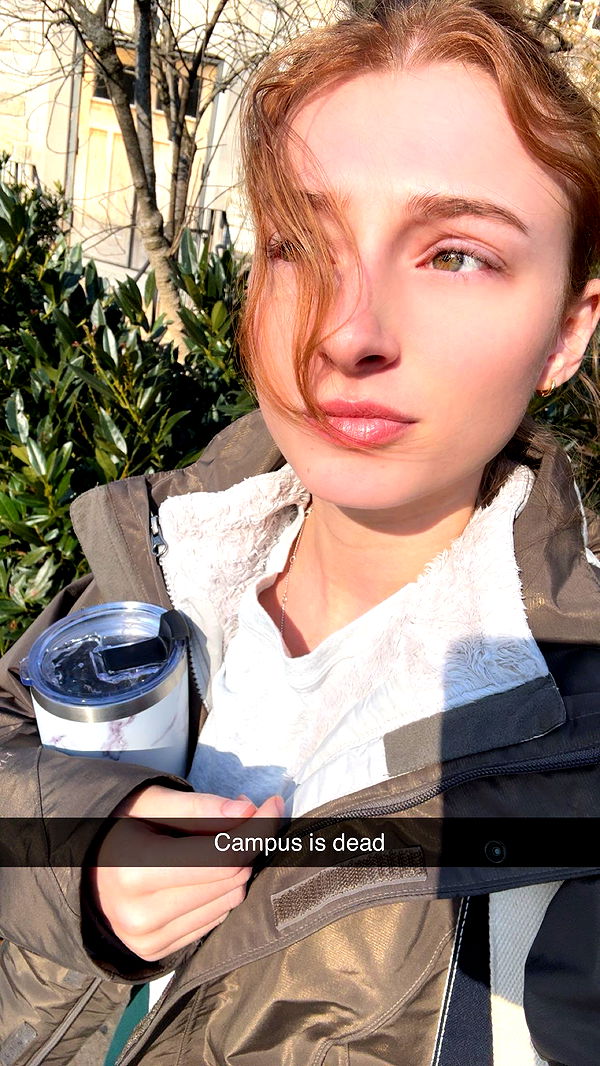 carmmieecat image ~ Altpins