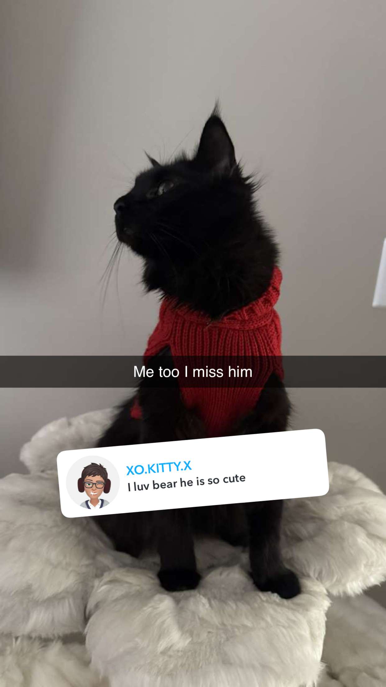 carmmieecat snapchat image archive image