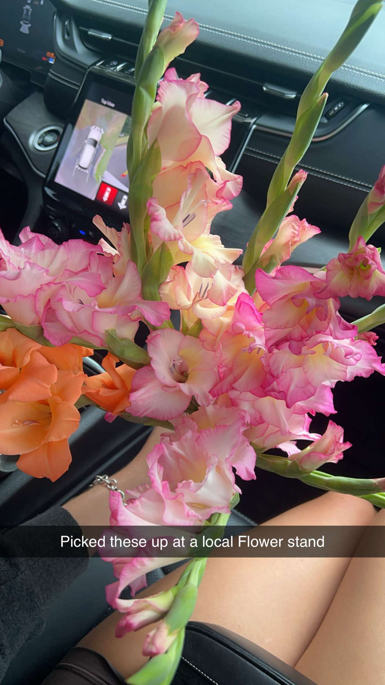 carmmieecat snapchat image archive image