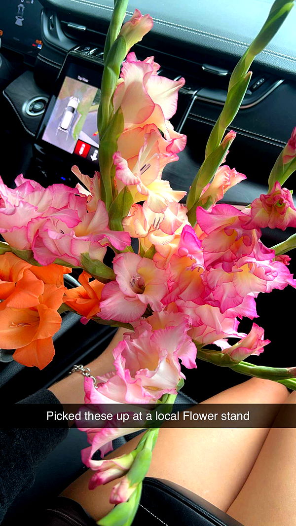 carmmieecat image ~ Altpins