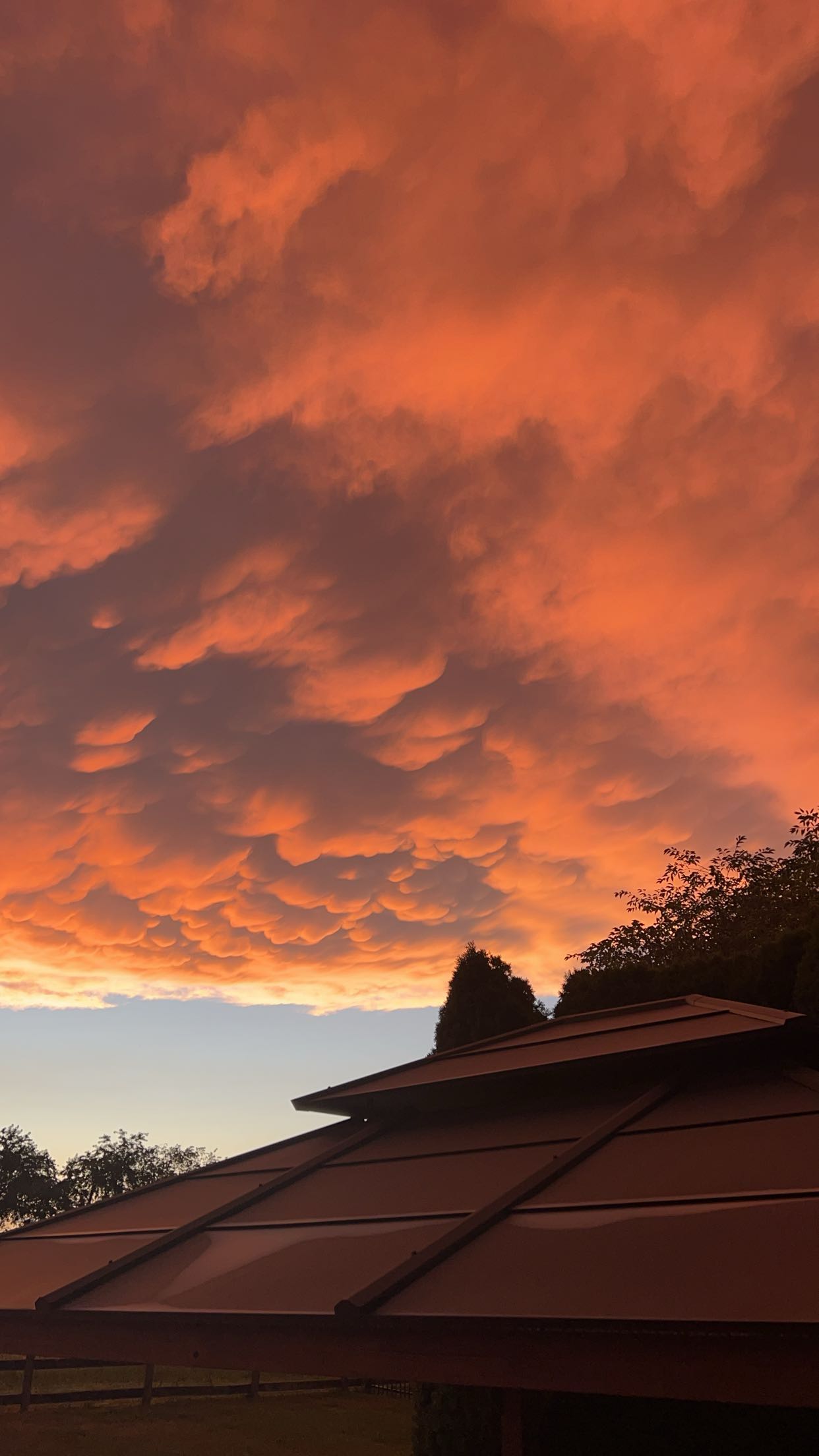 carmmieecat snapchat image archive image