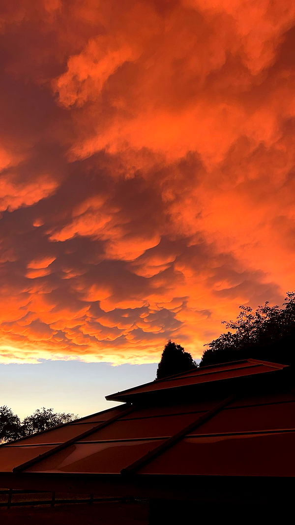 carmmieecat image ~ Altpins