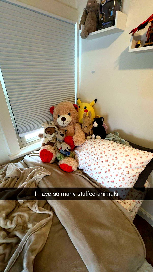 carmmieecat image ~ Altpins