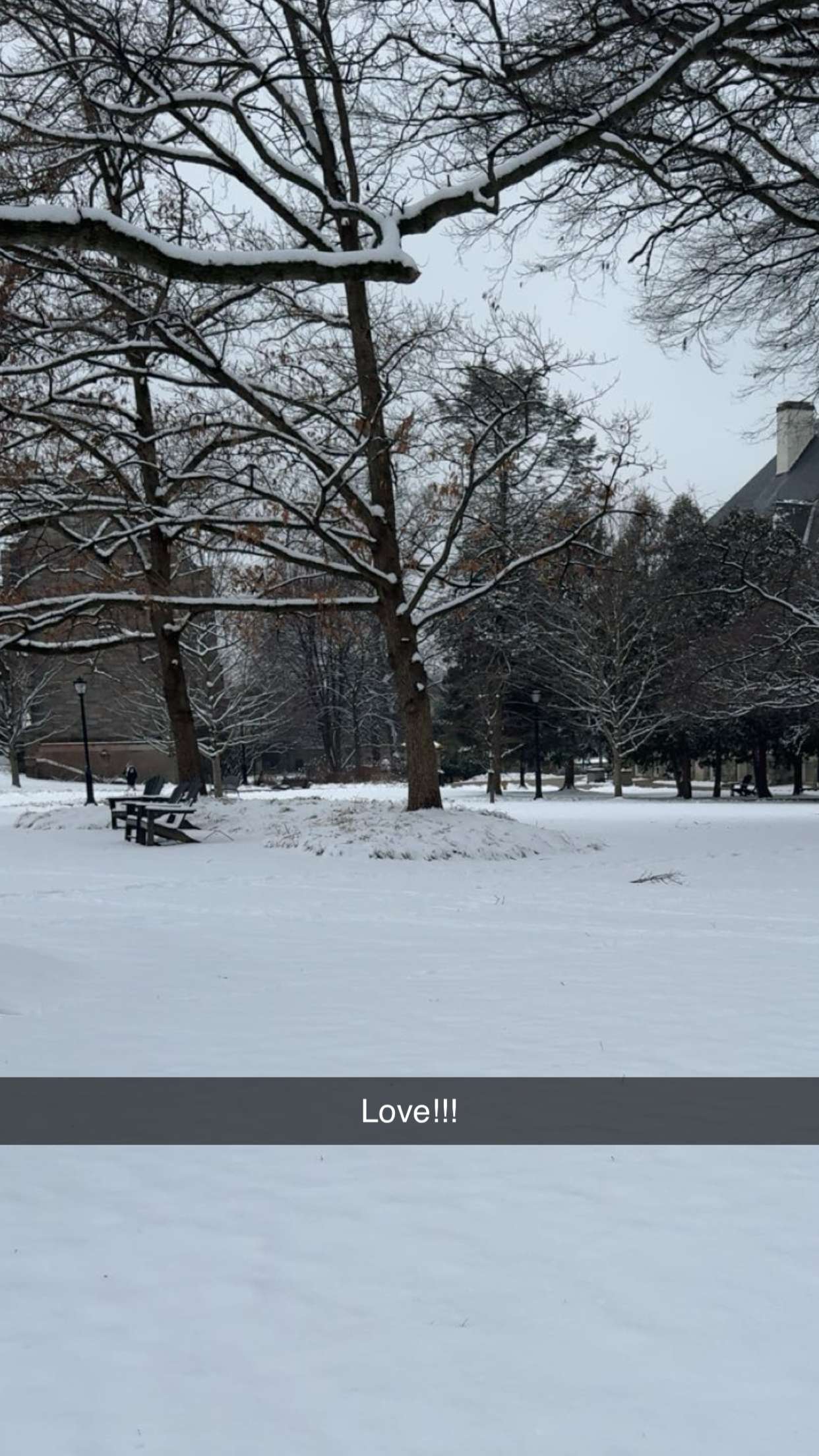 carmmieecat snapchat image archive image